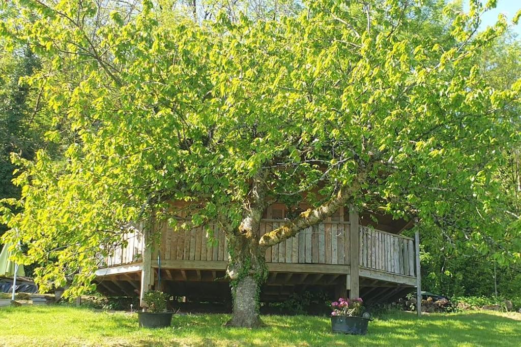 Chalet Cocooning Pleine Nature Montmorot Buitenkant foto